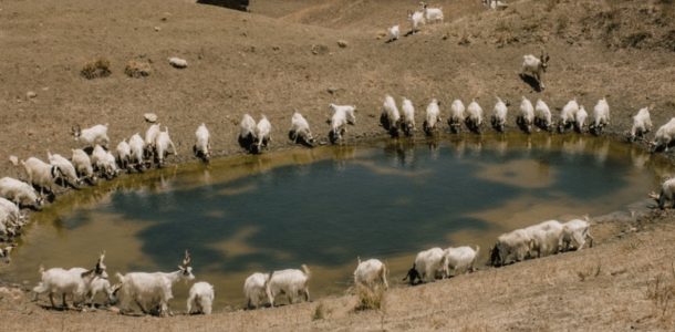 Le acque avvelenate di Sicilia tra sprechi e incompiute